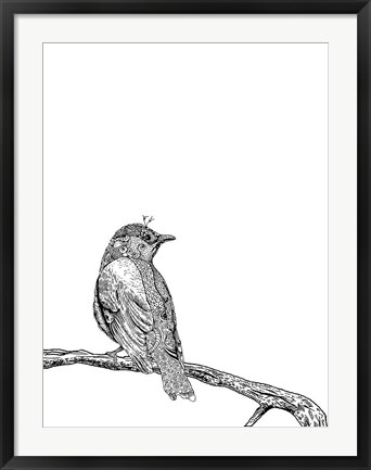 Framed Bird III Print