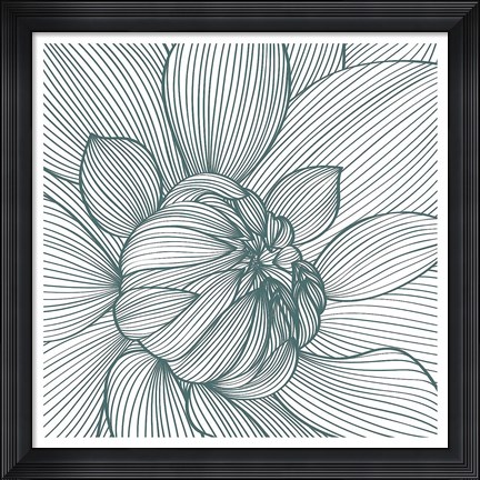 Framed Myrrhis odorata I Print