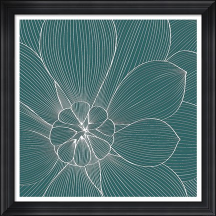 Framed Myrrhis odorata II Print