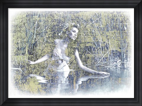 Framed Swan Lake Print