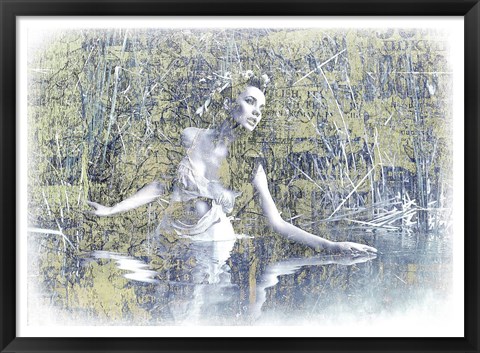 Framed Swan Lake Print