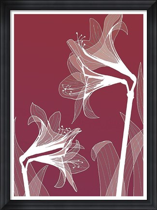 Framed X-ray Flowers Red Print