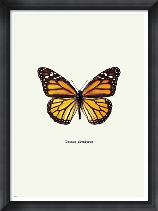 Framed Yellow Butterfly Print