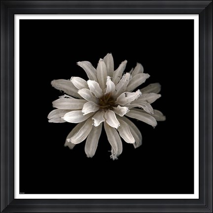 Framed All White Print