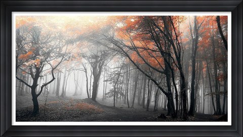 Framed Autumn Woods 1 Print