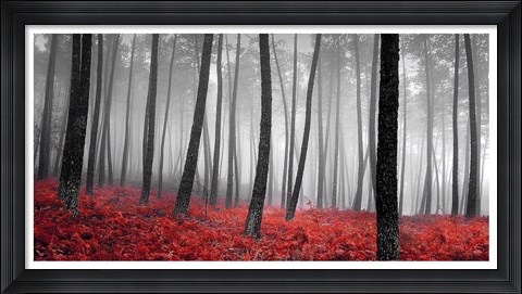 Framed Autumn Woods 2 Print