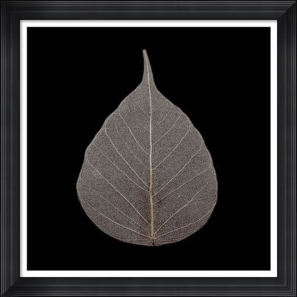Framed Brown Leaf Print