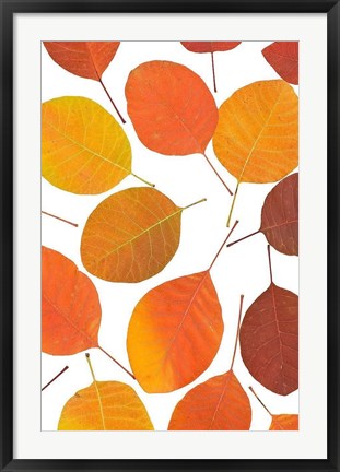 Framed Brown Leaves Print