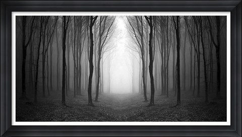 Framed Dark Woods Print