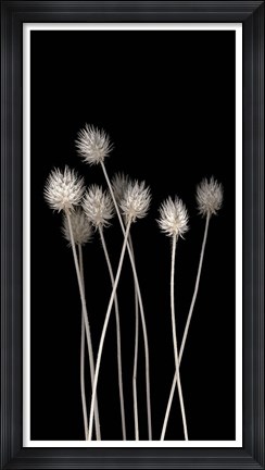 Framed Dried Up I Print