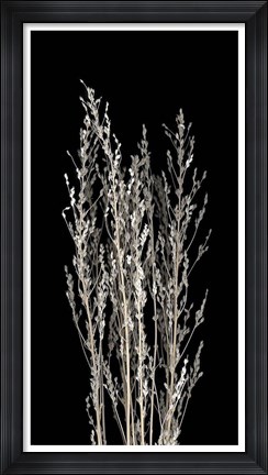 Framed Dried Up II Print