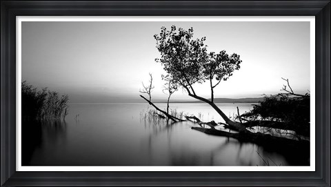 Framed Great Lake Print