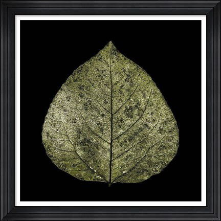 Framed Green Leaf Print