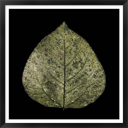 Framed Green Leaf Print