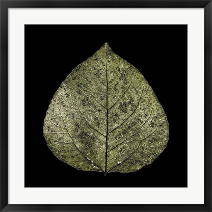 Framed Green Leaf Print