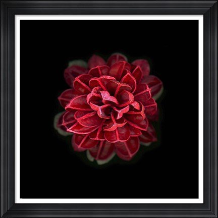 Framed In Red Print
