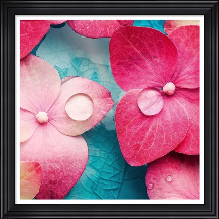 Framed Pink Flowers 3 Print