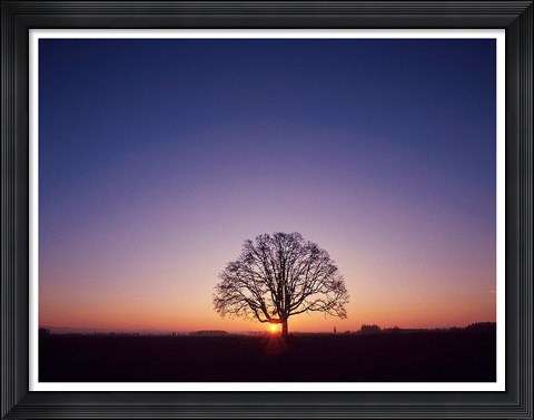Framed Sundown Print