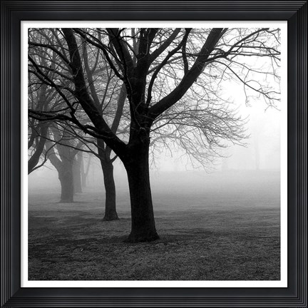 Framed Trees Print