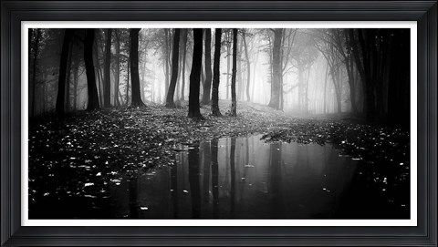 Framed Woods 2 Print