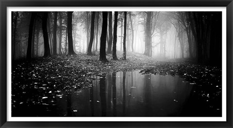 Framed Woods 2 Print