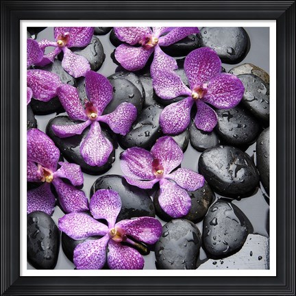 Framed Zen Pebbles IV Print