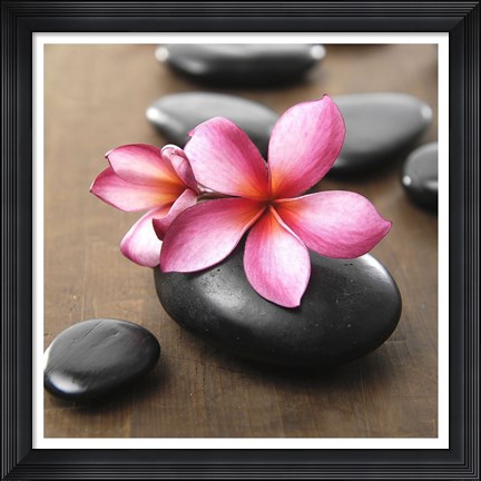 Framed Zen Pebbles II Print