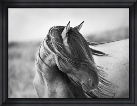 Framed Fierce Grace Print