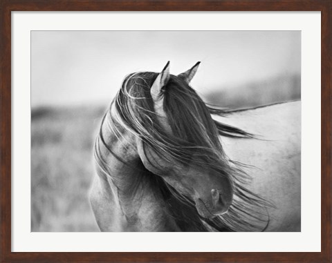 Framed Fierce Grace Print