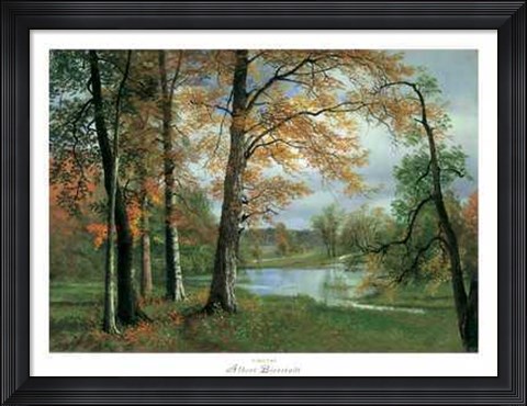 Framed Quiet Pond Print