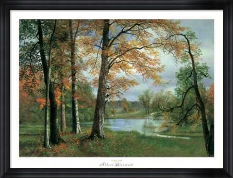 Framed Quiet Pond Print