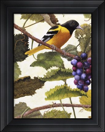 Framed Golden Glow I Print