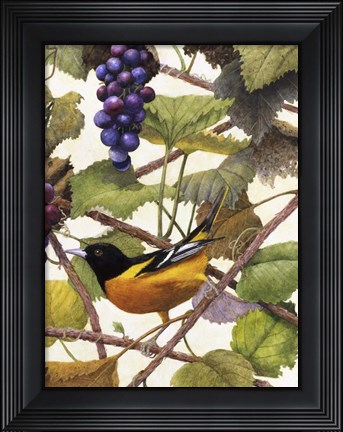 Framed Golden Glow II Print