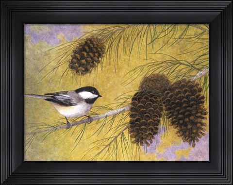 Framed Chickadee in the Pines I Print