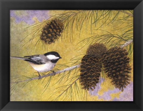 Framed Chickadee in the Pines I Print