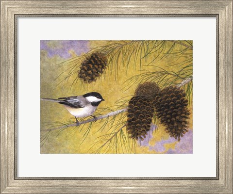 Framed Chickadee in the Pines I Print