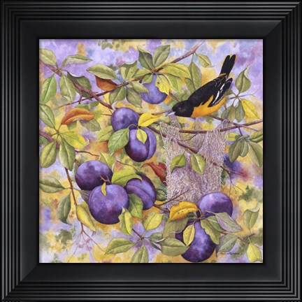 Framed Oriole &amp; Plums Print