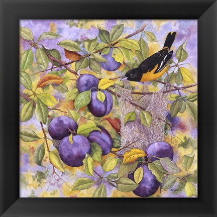 Framed Oriole &amp; Plums Print