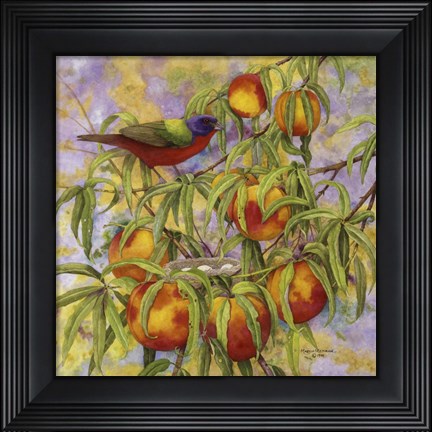 Framed Painted Bunting &amp; Peaches Print