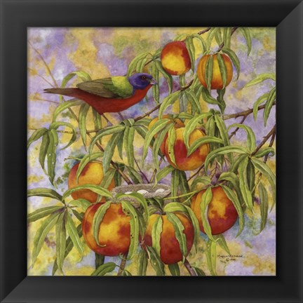 Framed Painted Bunting &amp; Peaches Print