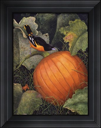 Framed Oriole &amp; Pumpkin Print