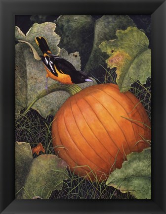 Framed Oriole &amp; Pumpkin Print