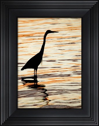 Framed Silhouette of Great Blue Heron in Water at Sunset Print