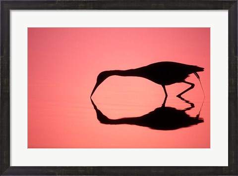 Framed Mirror Silhouette of Little Blue Heron Print