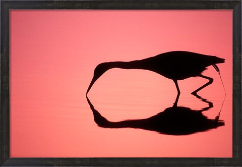 Framed Mirror Silhouette of Little Blue Heron Print