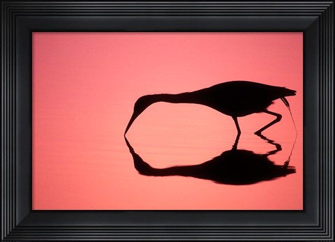 Framed Mirror Silhouette of Little Blue Heron Print