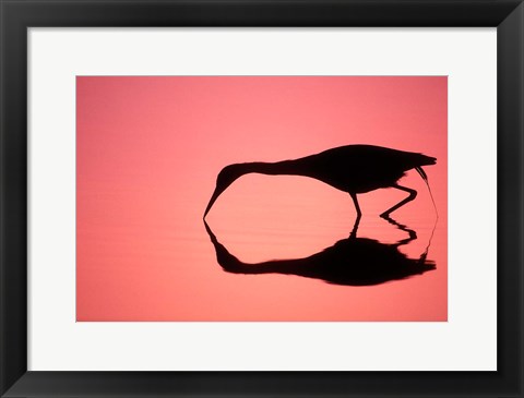 Framed Mirror Silhouette of Little Blue Heron Print