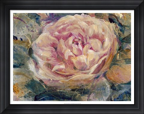 Framed Floral in Bloom IV Print