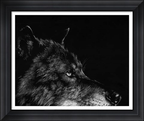 Framed Scratchboard Wolf I Print