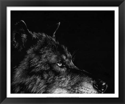 Framed Scratchboard Wolf I Print